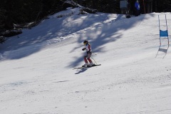 DSC09972-11098