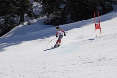 DSC09973-11099