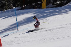 DSC09974-11100