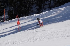 DSC09975-11101