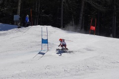 DSC09988-11109