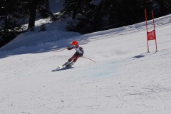 DSC09990-11111
