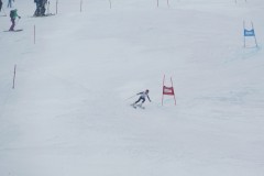DSC07271-9813
