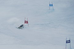DSC07278-9817
