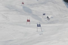 DSC07292-9827