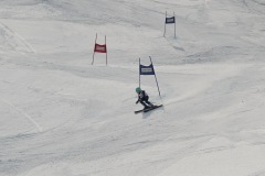 DSC07294-9828