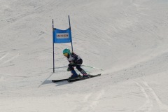 DSC07296-9829