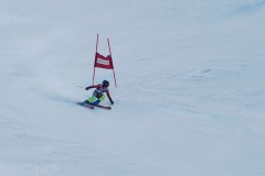 DSC07310-9838