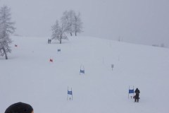 SONY DSC