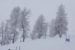 SONY DSC