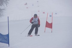 SONY DSC