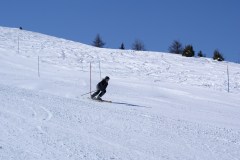 SONY DSC