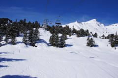 SONY DSC