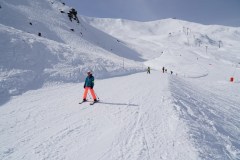 DSC00865-8526