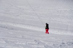 DSC00930-8533